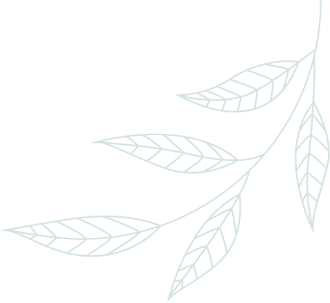feuille-bas-droit
