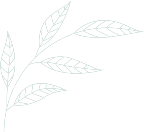 feuille-haut-gauche