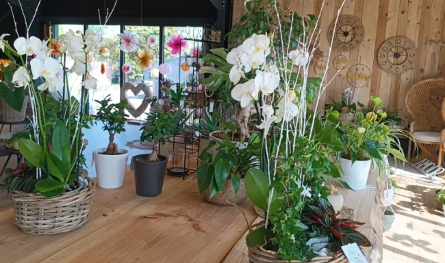 Boutique Rosalie fleurs à Bessoncourt
