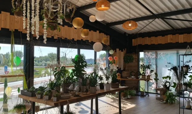 Boutique Rosalie fleurs à Bessoncourt